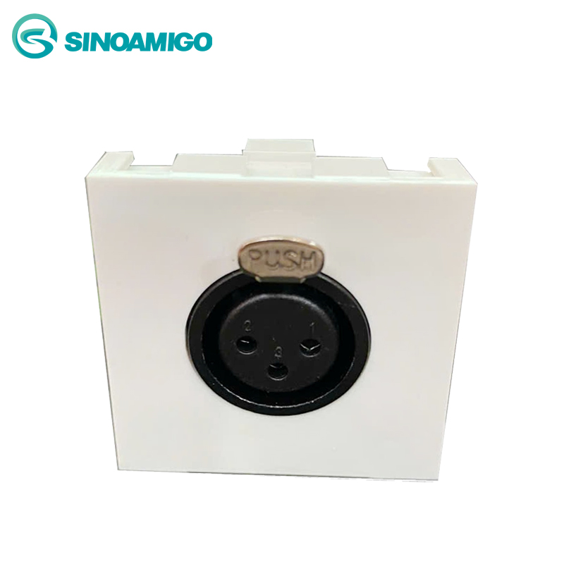Module ,Nhân Âm Thanh Kalon Type 45 Sinoamigo F24-2 Chính Hãng | Dùng Cho Ổ Âm Sàn, Âm Bàn